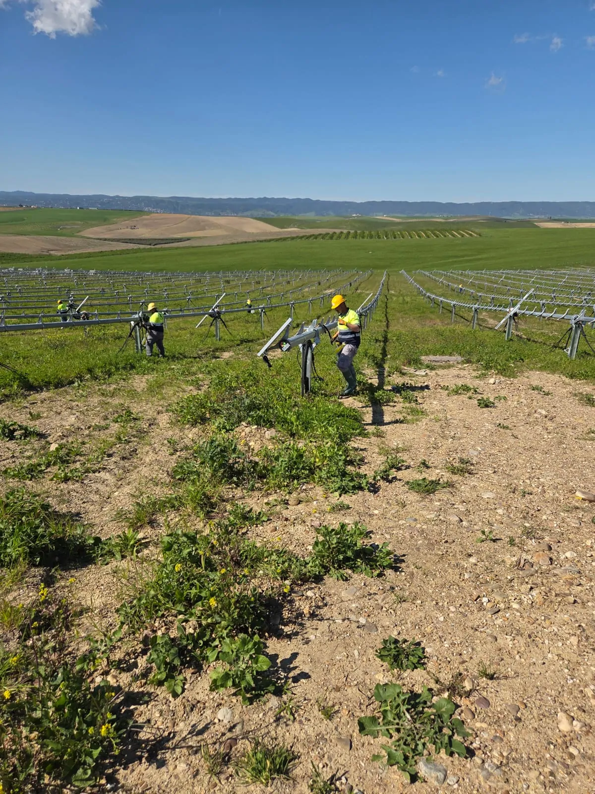 SERLEYCON - trabajos en campo